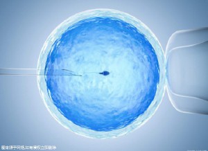 助孕儿子包成功